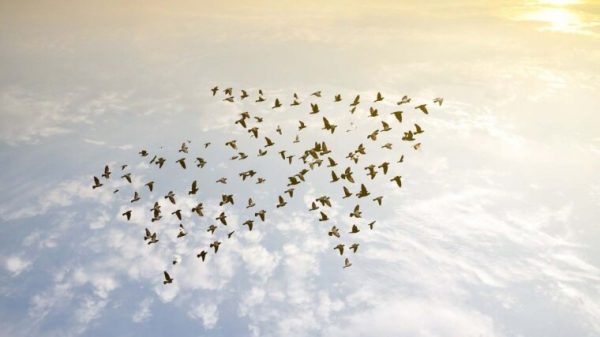 Formation pour manager en Leadership pour outiller dans la mobilisation de votre équipe.